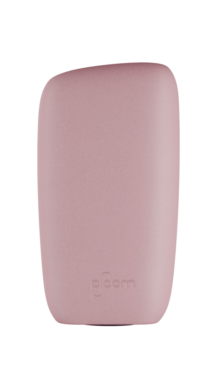 플룸 X 레더 백 커버 - 로즈