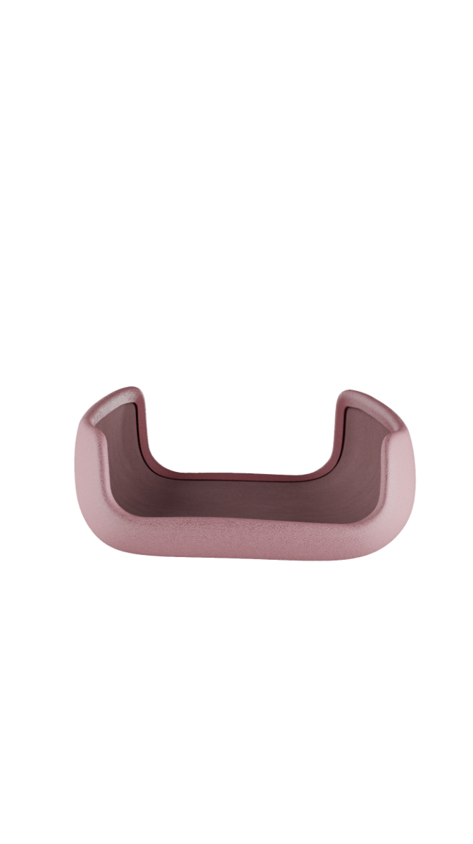 플룸 X 레더 백 커버 - 로즈